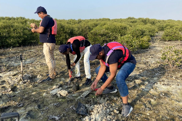 Bauer Equipment Gulf: Local sustainability project