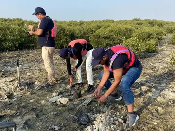 Bauer Equipment Gulf: Local sustainability project